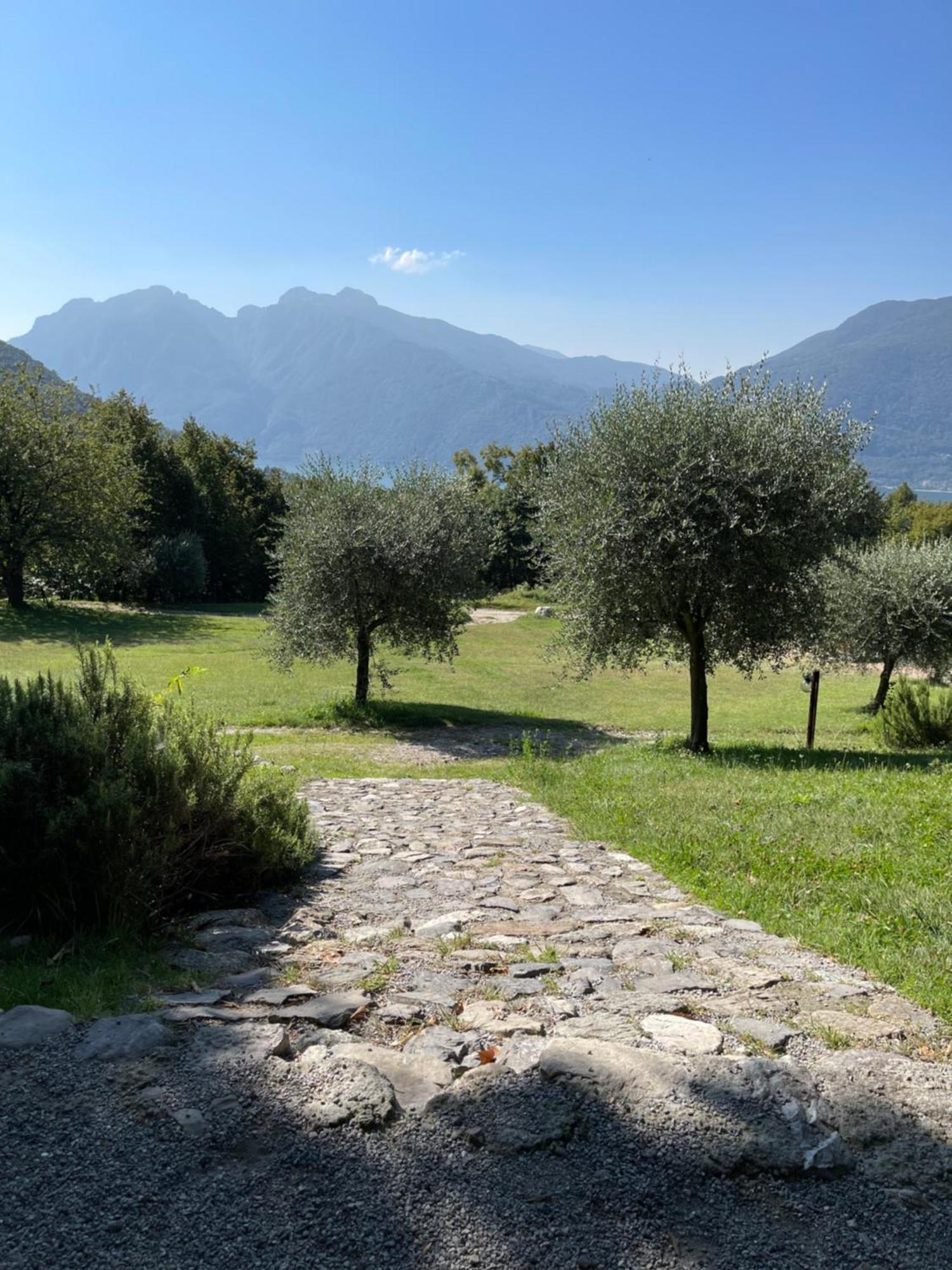 Agriturismo La Selvaggia Mandello del Lario Buitenkant foto