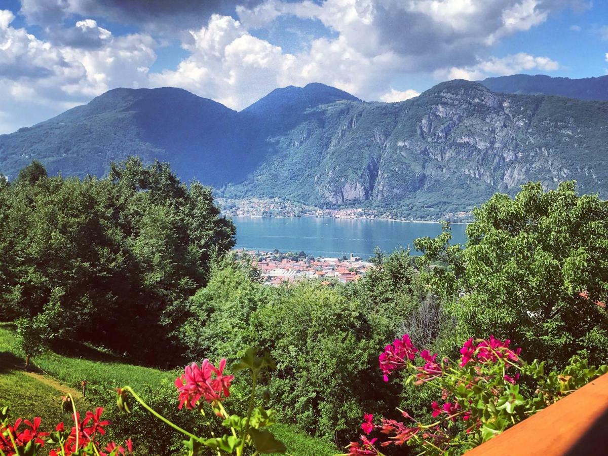 Agriturismo La Selvaggia Mandello del Lario Buitenkant foto